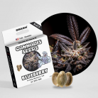 SMASH Cannabissamen 'Blueberry'
