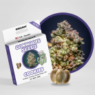 SMASH Cannabissamen 'Cookies'